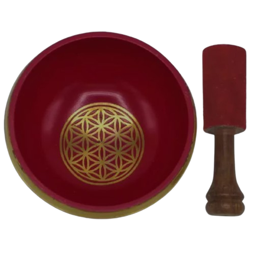 WhatsApp_Image_2025-09-30_at_1.32.32_PM__3_-removebg-preview